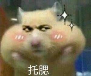 韩语和日语哪个自学更简单,韩语速成和日语哪个好学