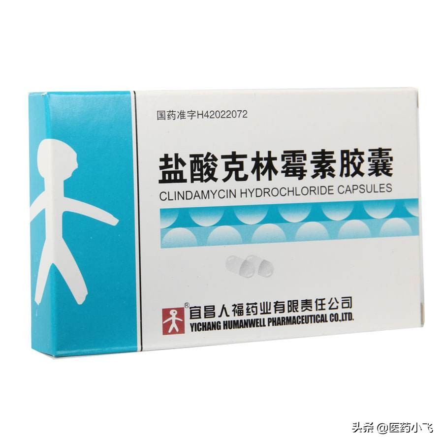 克林霉素和甲硝唑,克林霉素能喝酒吗