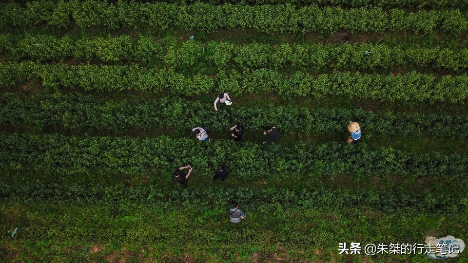 拥有6个4A景区的县城,池州石台县十大旅游景点