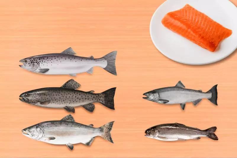 三文鱼新冠病毒疫情最新,深海市场的三文鱼带有新冠病毒