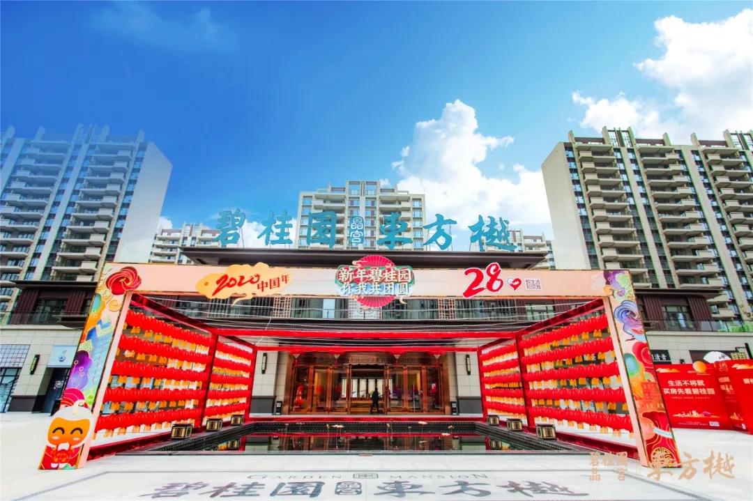 碧桂园南北通透户型讲解,碧桂园120户型分析与大师讲解