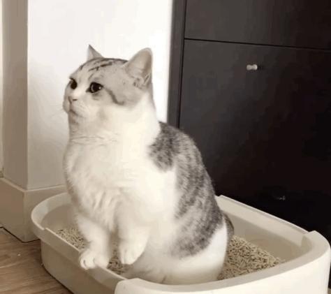 男言之隐怎么样,男言之隐介绍