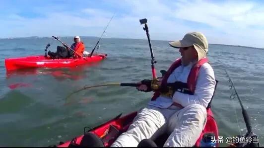 农民钓到一条价值几万的鱼,钓到一条鱼值好几万