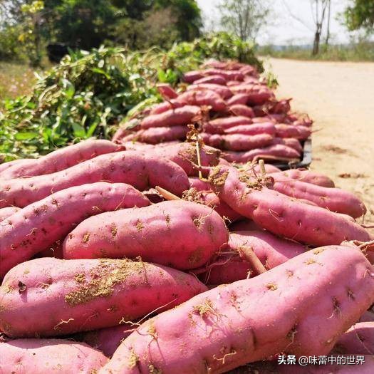 海口新港海南特产,海口特产排行榜前十名