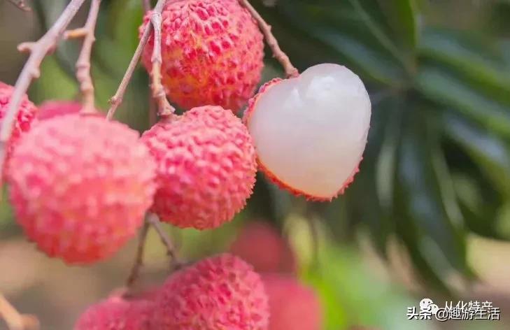 从化必吃的十大特产,舌尖上的广东正宗腊味
