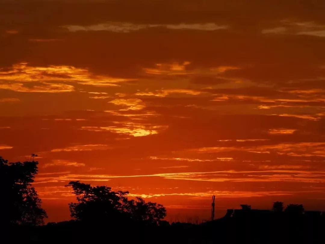 安徽省合肥师范学院2024招生简章,安徽省合肥师范学院今年投档线