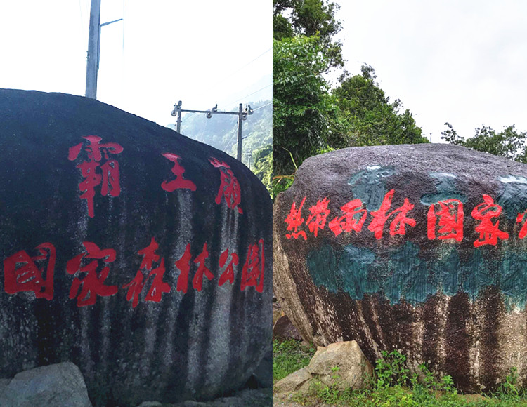 1500年的“母生”藏于此，这里集海南珍稀名木，神奇霸王岭