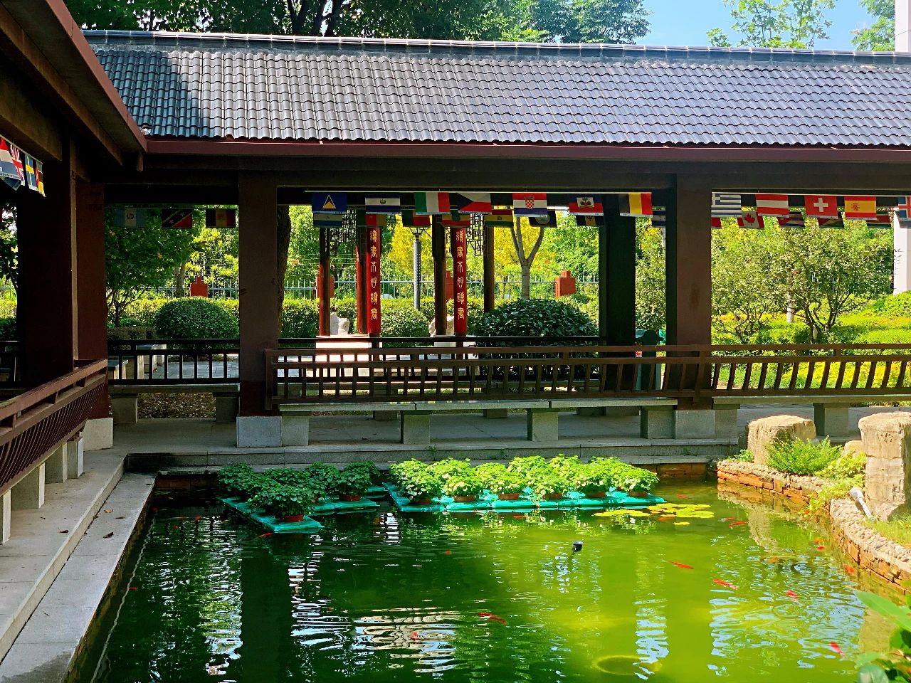 金中新校区,金中岱山教育集团