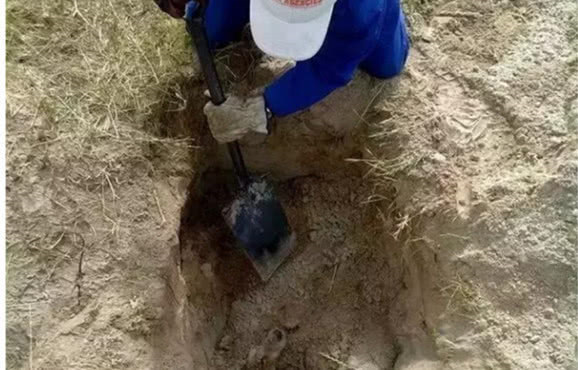 鐢蜂汉鐢ㄦ毚鍔涢┍璧舵祦娴嫍,涓轰粈涔堜繚瀹夎鎶婂悇绉嶆祦娴嫍鎵撴