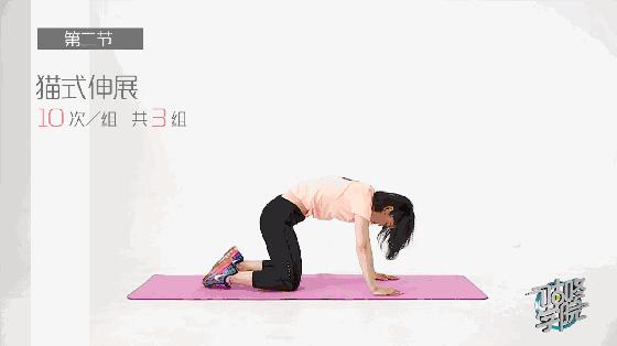 骑行后肩颈疼痛怎么缓解,骑行后背疼痛的原因及恢复方法