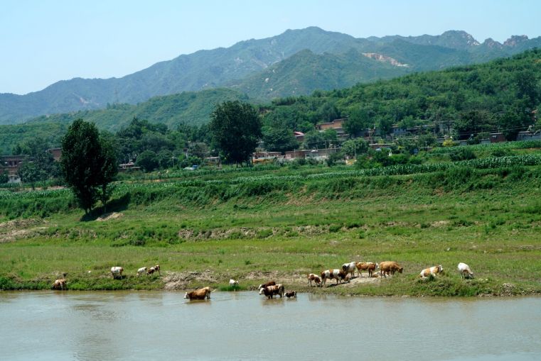 驼梁一日游日记,五台县南驼梁游记