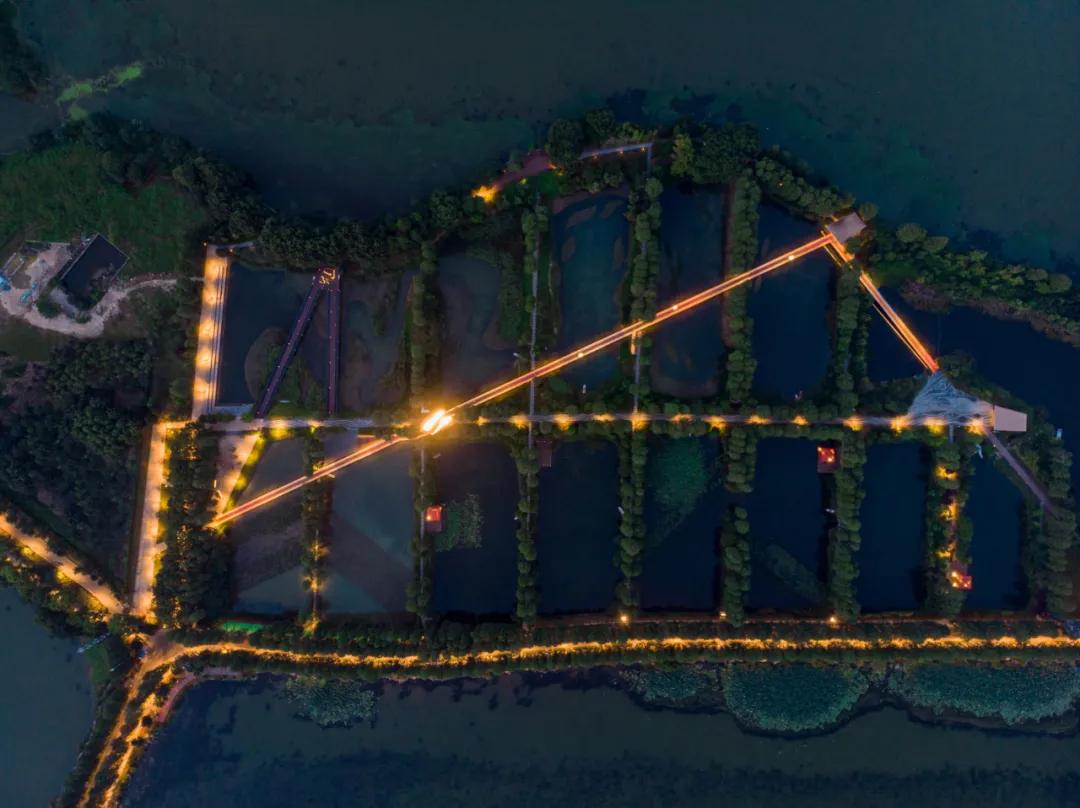 武汉华侨城湿地公园绿化,华侨城生态湿地公园武汉什么区