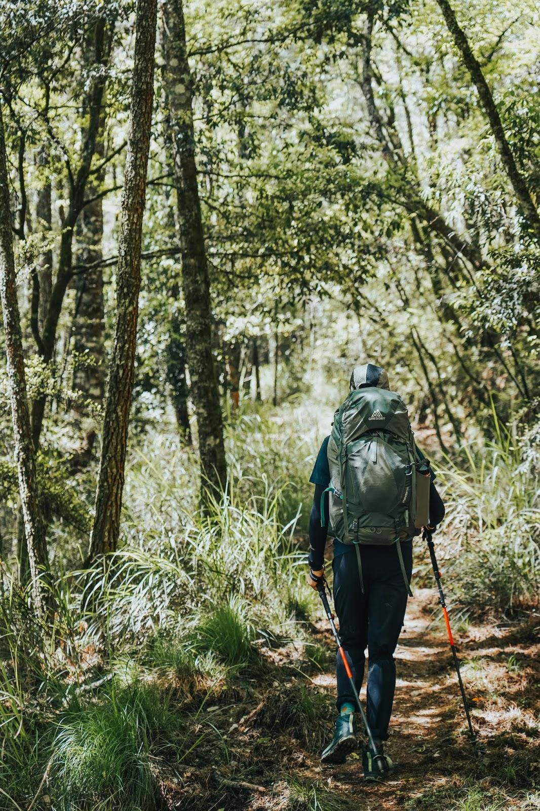 格里高利户外双肩包装备,格里高利登山包评测