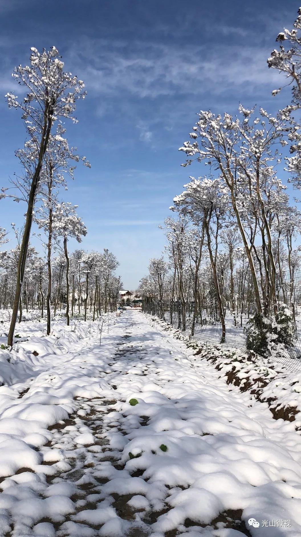 替你“打卡”！疫情中的光山雪景