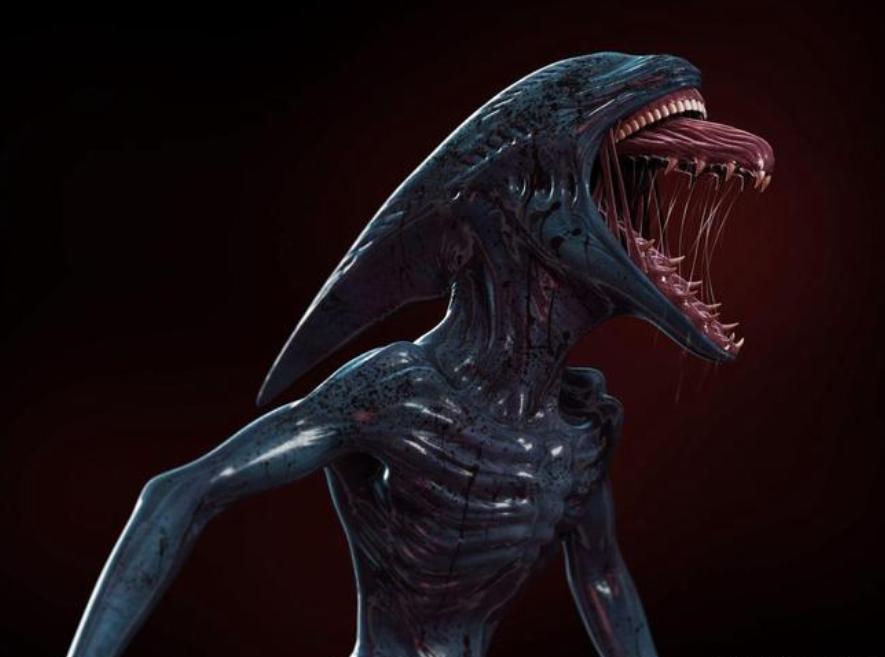 寮傚舰vs閾佽鎴樺+娣卞害瑙h,涔愰珮閾佽鎴樺+vs寮傚舰