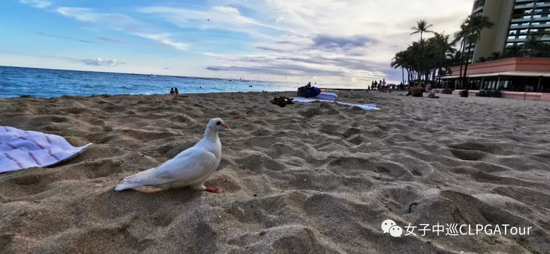 这是一场与高尔夫的热爱之旅!(二)