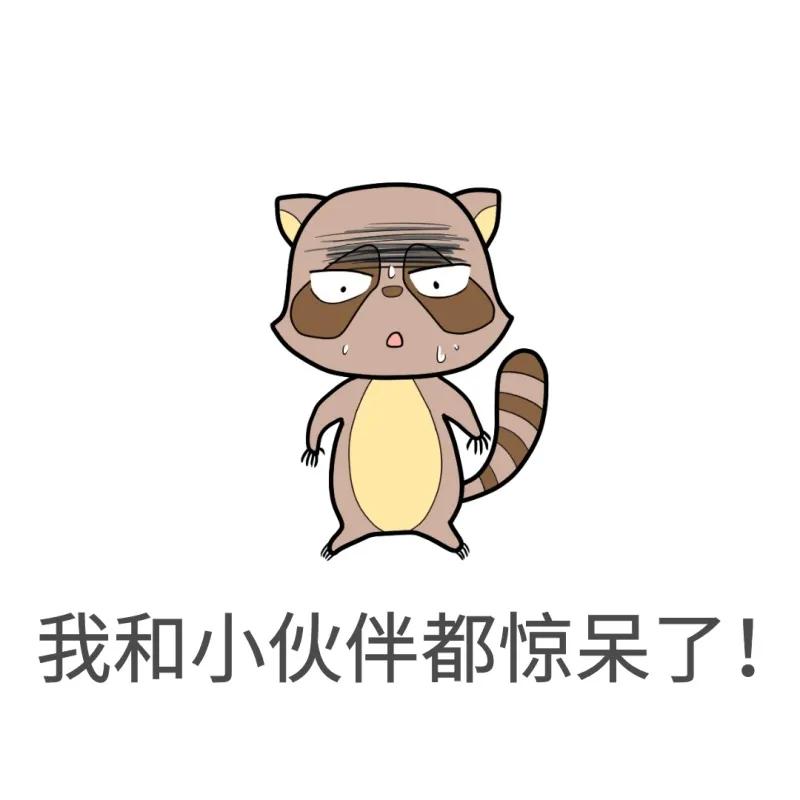 卧室有没有必要全屋通铺地毯,家里铺地毯不再是鸡肋