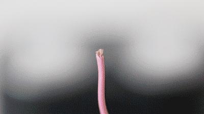 打火机大小的黑科技剃须刀,再硬的茬都能干掉,清洗相当容易