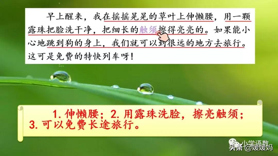 二年级下册我是一只小虫子课后题,二年级下册语文11我是一只小虫子
