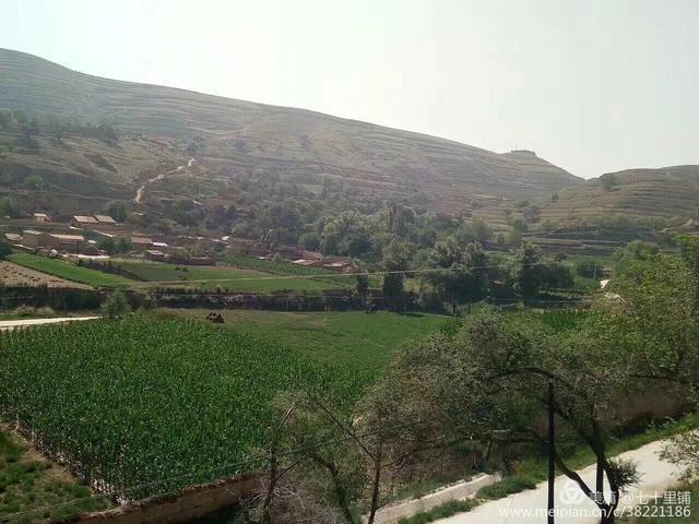 大美汨罗我的家,大美宝丰我的家