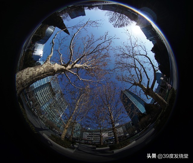 210°视角老蛙CF4mmf2.8鱼眼镜头评测