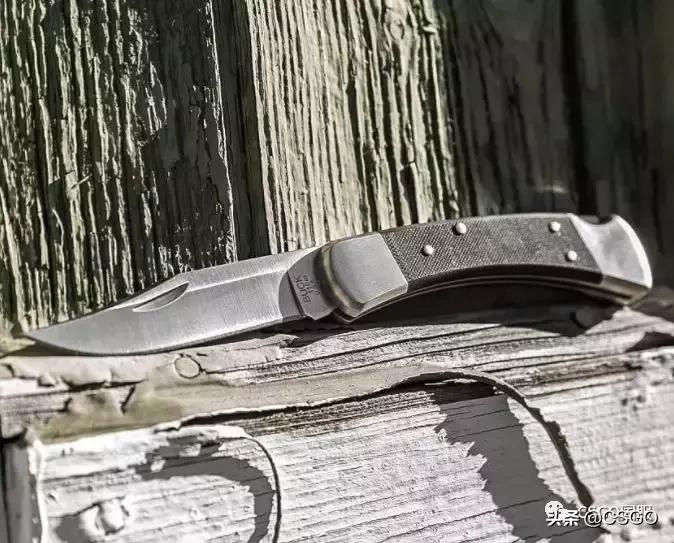 「刀说」第4期:杀猪刀——百年如一的美国BUCK刀