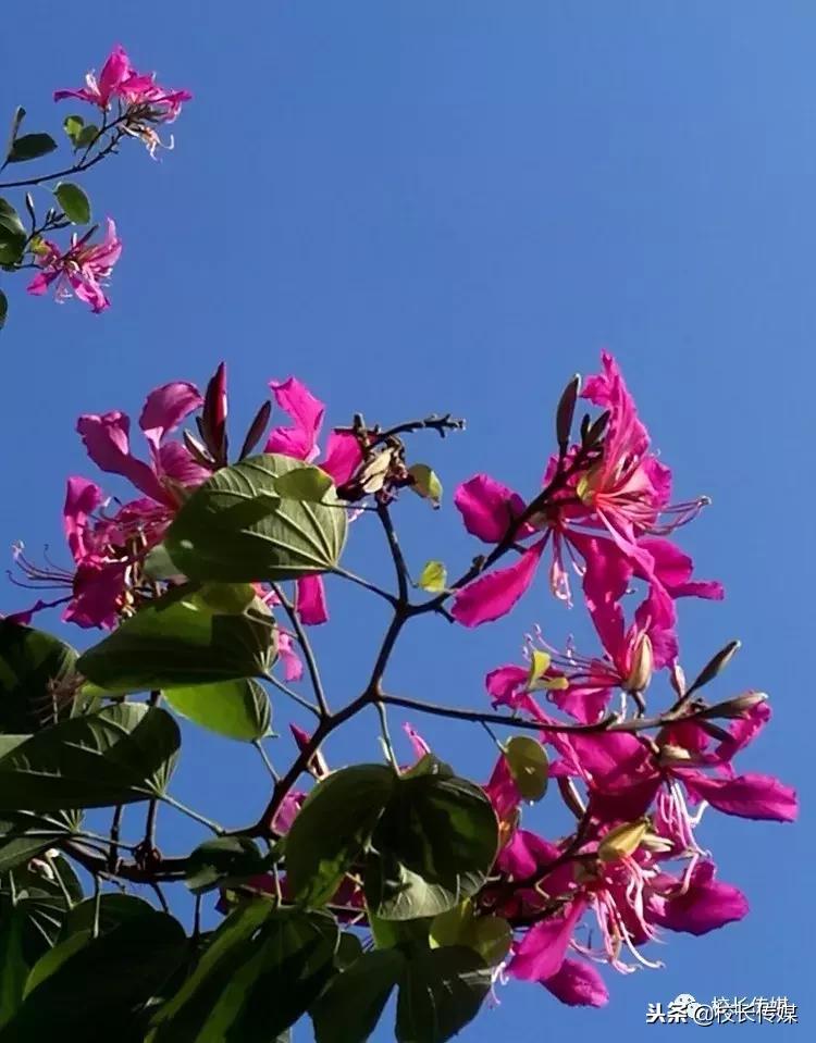 权威遭遇,权威的位置