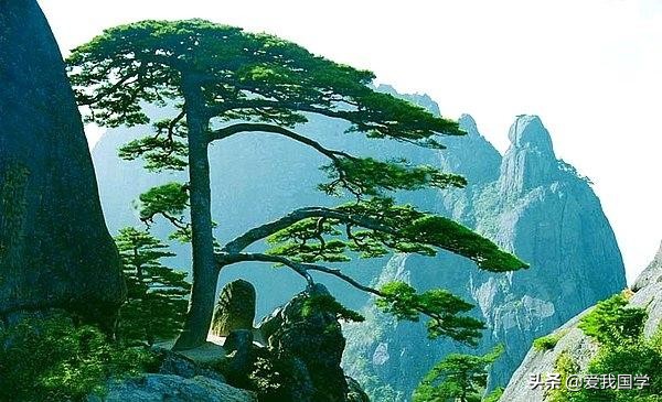 带有松竹梅的诗句,松竹梅雪的诗句