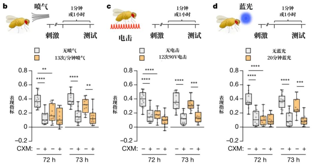 瞬间选择性失忆症,话到嘴边突然忘了