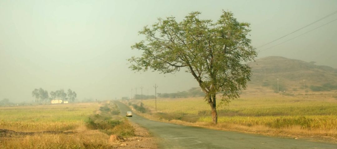 印度竟出爆款烧脑片，全程憋尿看完