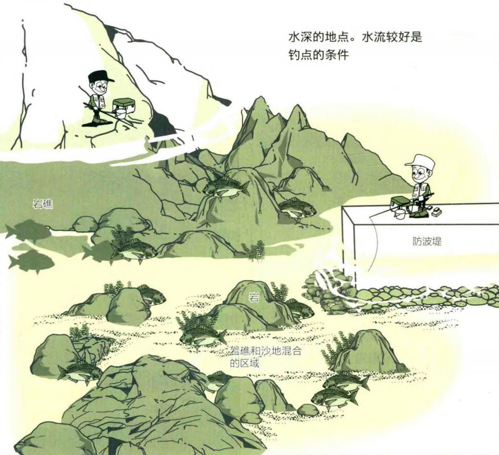 「日本专业矶钓书籍」80厘米超大真鲷鱼日本人气王鱼如何钓到