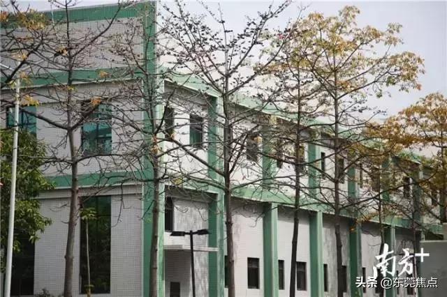 东莞打击二手厂房房东,东莞二手房东