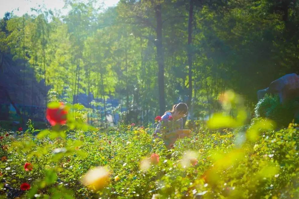 韶关经律论温泉度假村详细地址,韶关经律论温泉周边住宿