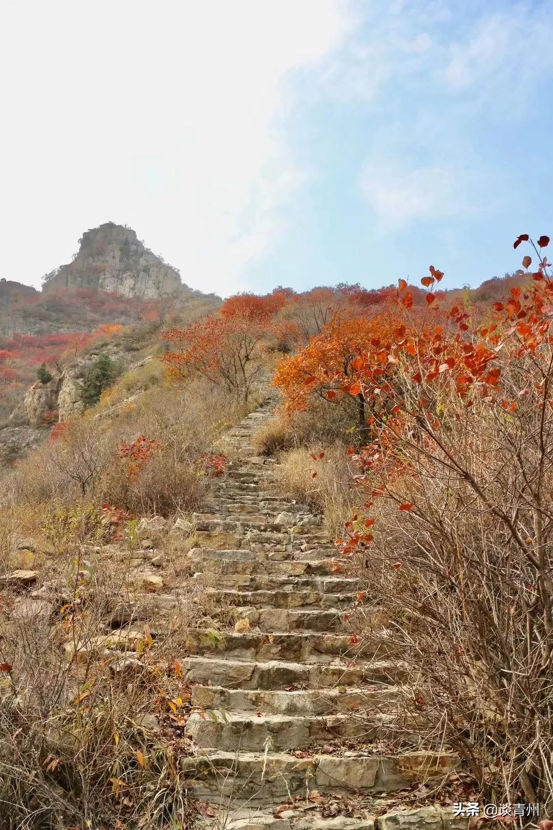 青州蜜三刀在哪,青州一个人去什么地方玩