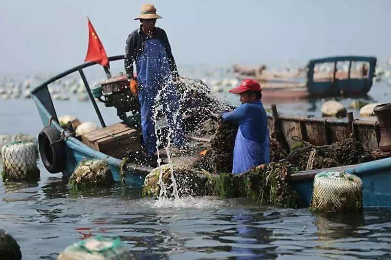 夏日的海岛沙滩,值得去的海边海岛