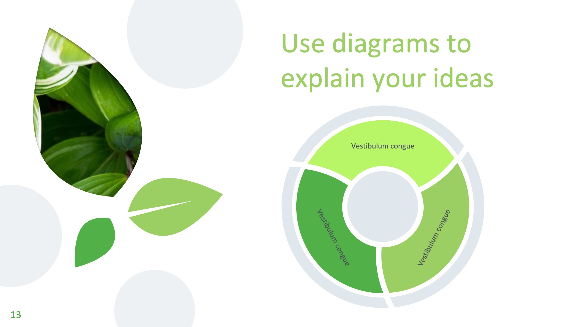 鍏充簬妞嶇墿涓婚鐨刾pt妯℃澘,妞嶇墿ppt楂樼骇灏侀潰