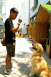 「椒霸霸×1CAKE」联名来啦！只要28.9元，和爱宠共享悠然午后