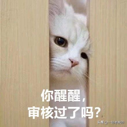 教资笔试审核不通过怎么重新报名,教资笔试通过纠结要不要报面试