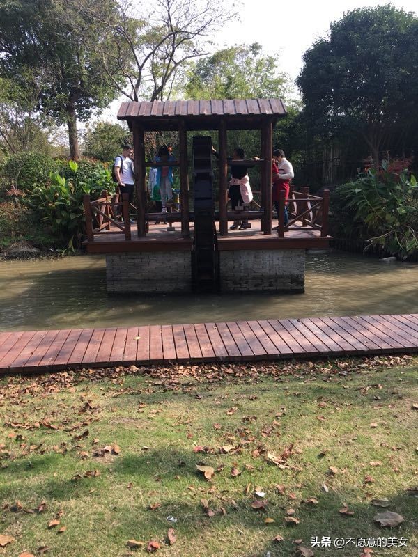 可爱的少妇自拍越来越丰满越来越成熟了