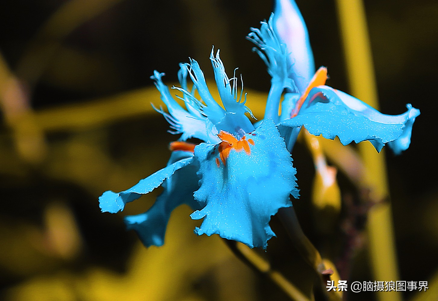 2023专业摄影修图软件,手机摄影后期修图app