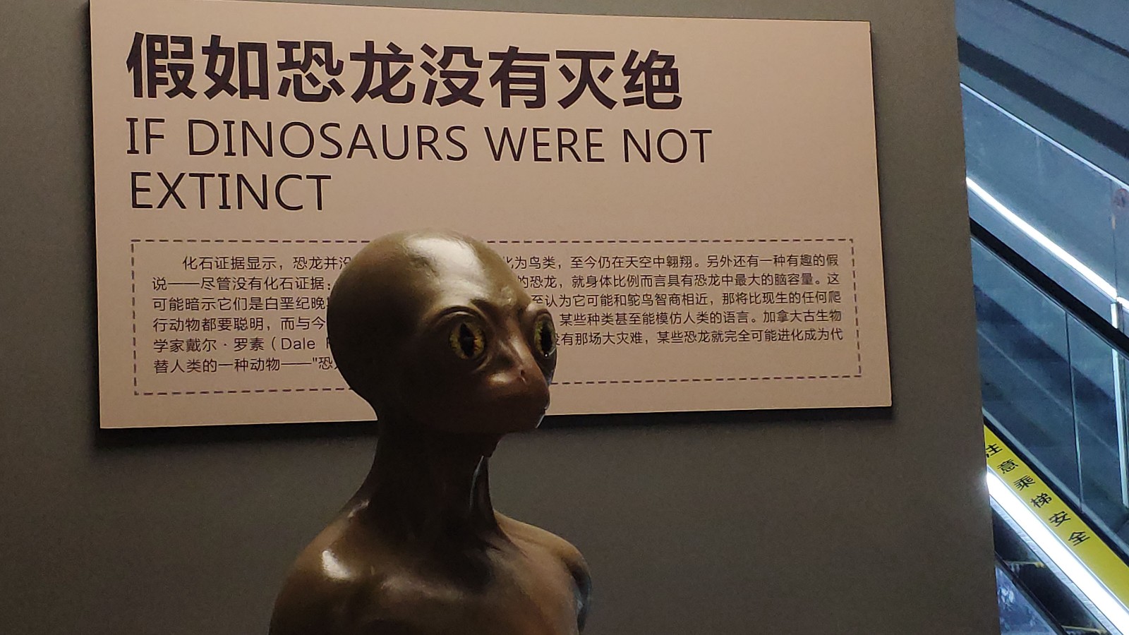 海洋博物馆带孩子游玩攻略,国家海洋博物馆最全攻略来了