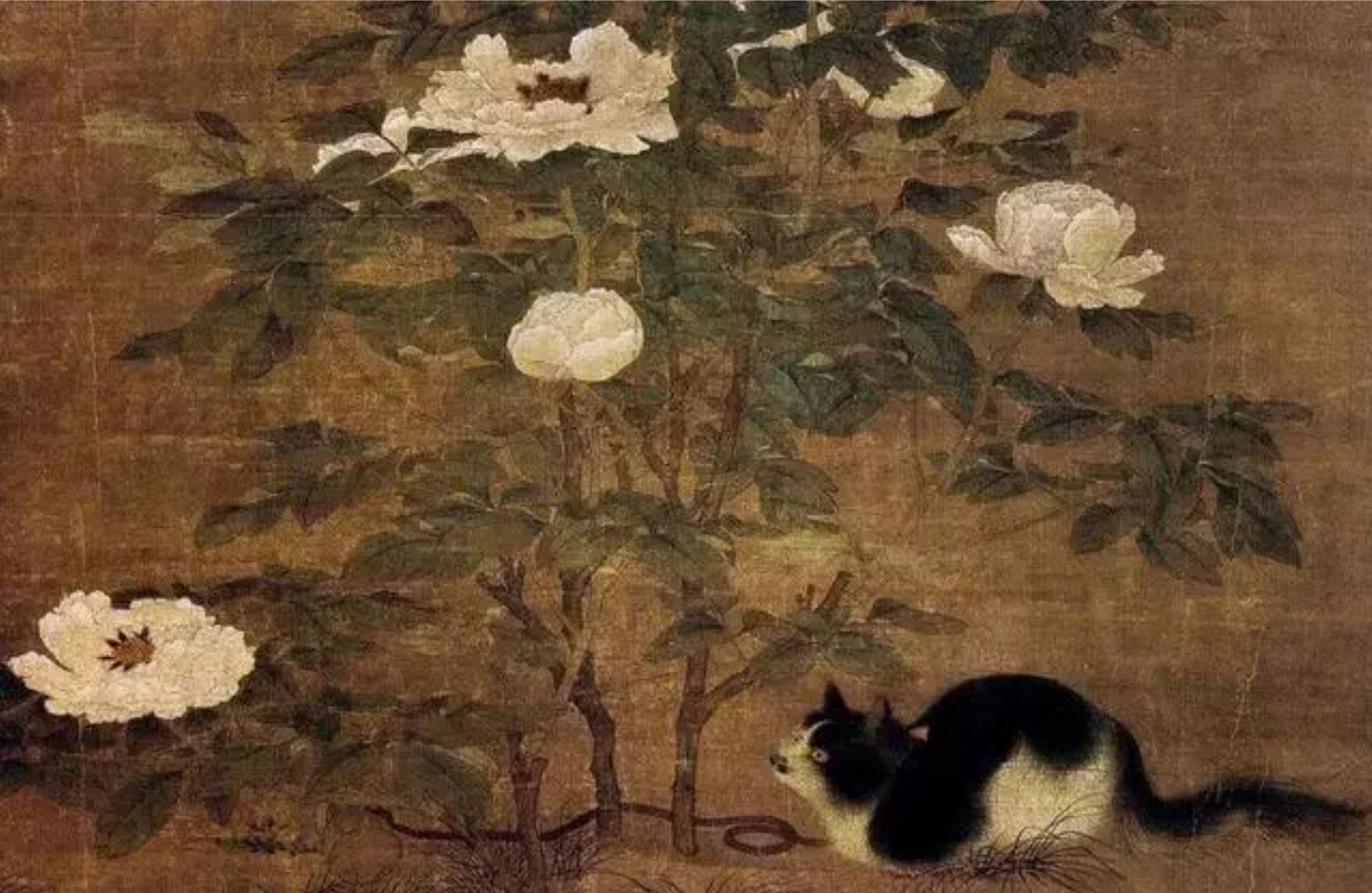 宋人与狸奴:一个疯狂吸猫的时代