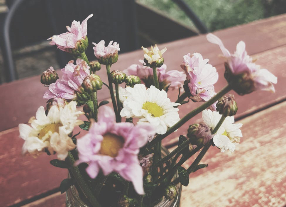 “不结婚,老了是不是真的很惨”,三个独居老人说出了实情