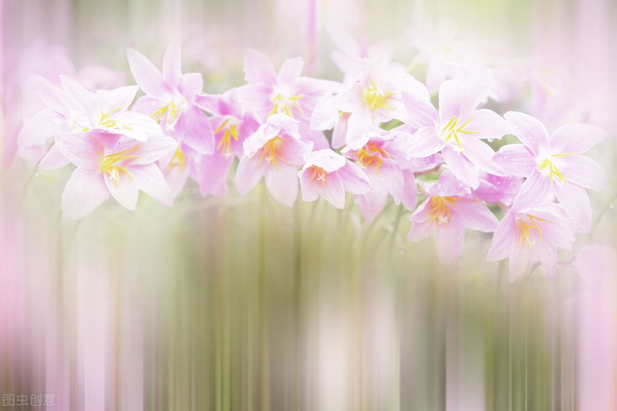 一个癌症患者的自我剖析,一个肿瘤外科医生的反思