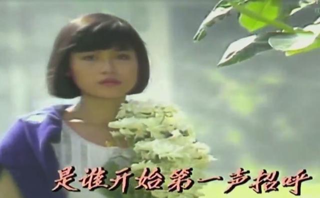 新加坡演员白玉川,白玉川的电视剧叫什么名字