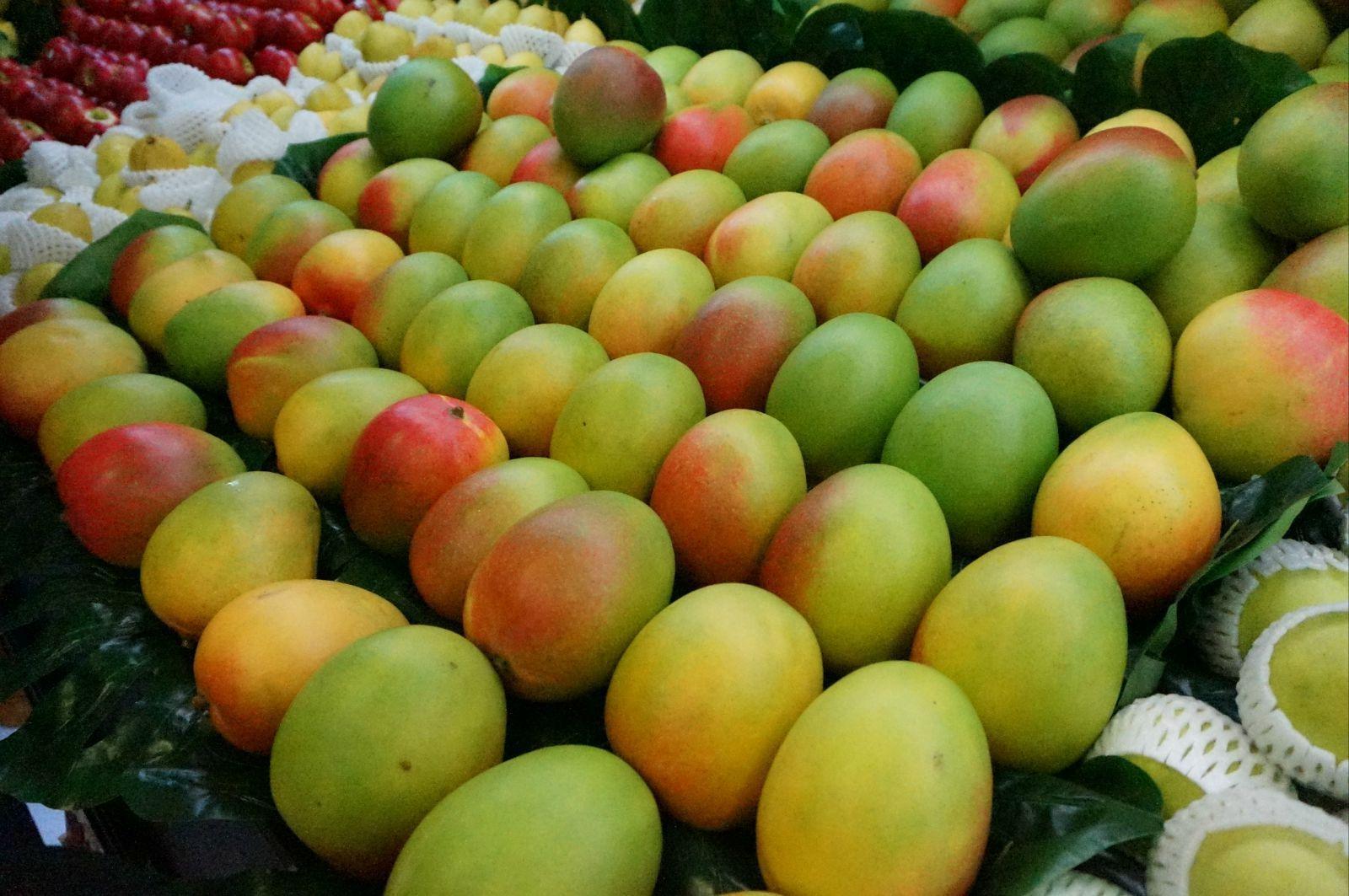 贵妃芒、金煌芒、小台农哪个更好吃？口感差别大，看好再买