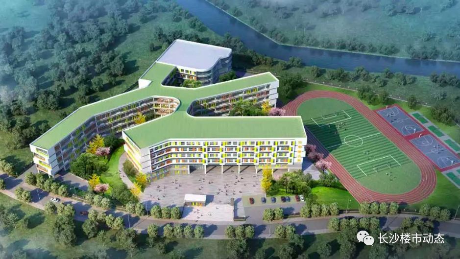 岳麓区规划中小学,岳麓区打造分校