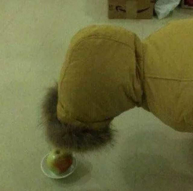 双十一活动有假的没,双十一态度