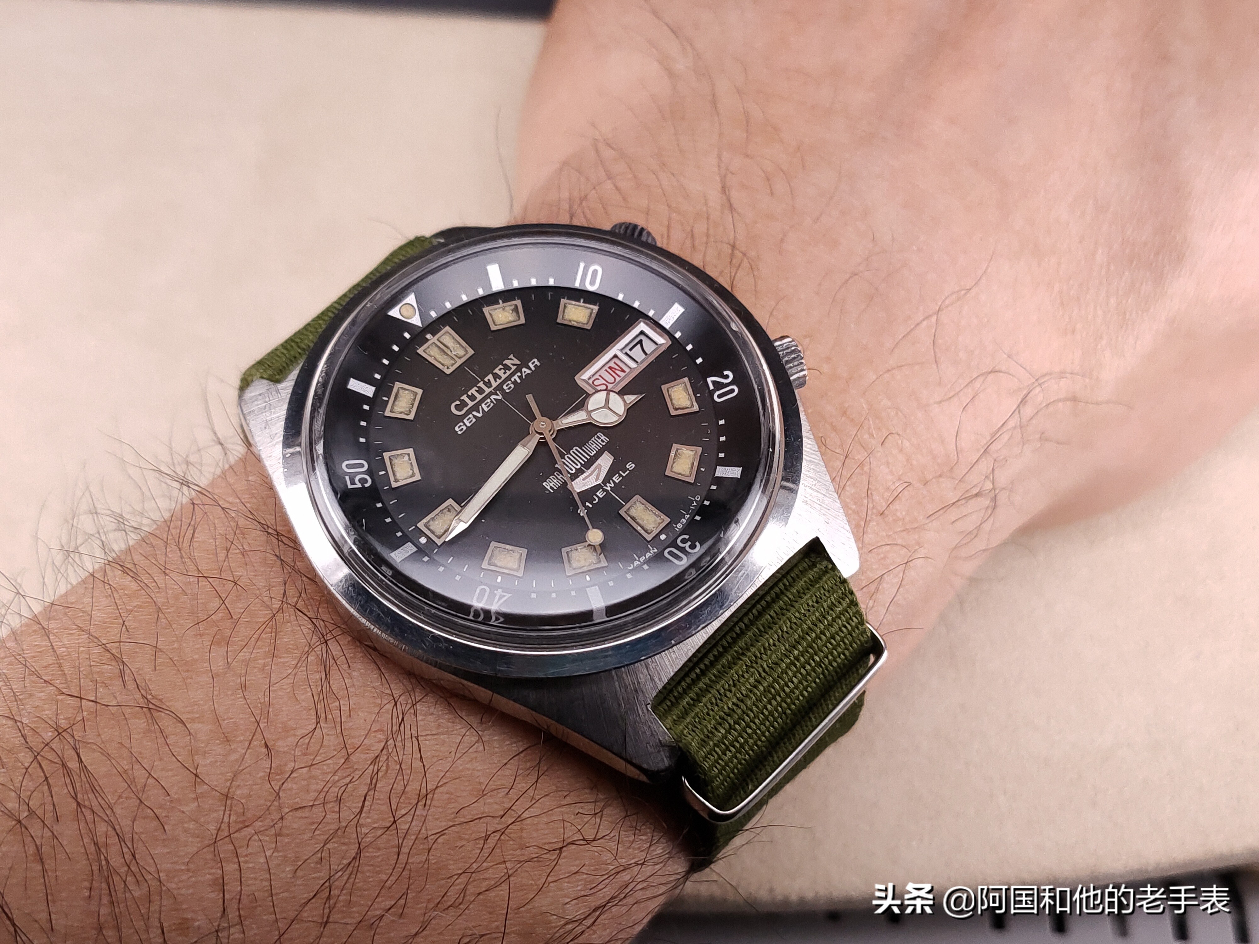 50年后的相见两只西铁城水鬼