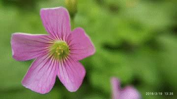 怎么修改视频封面自定义,如何修改视频封面图